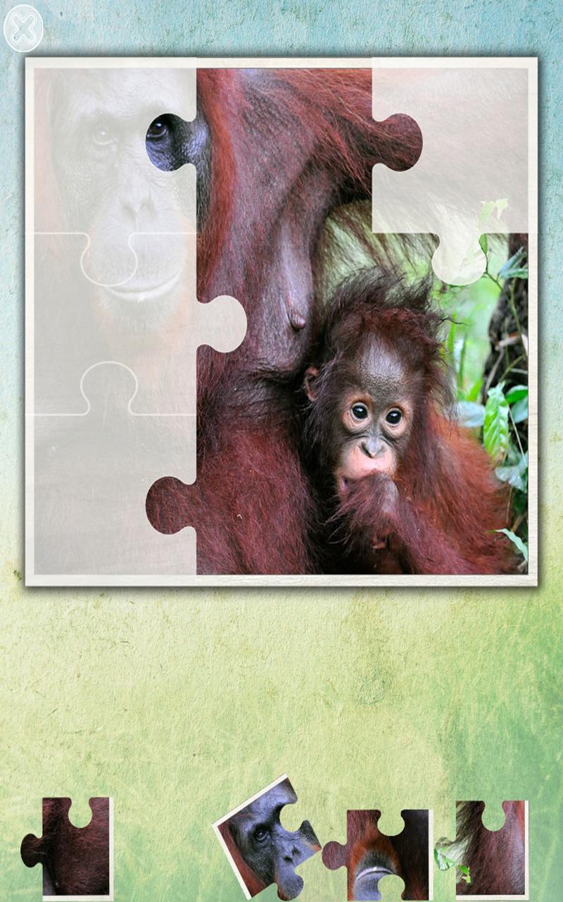 Jungle Puzzle - fun for kids Screen 2