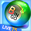 Bingo City Live HD 75