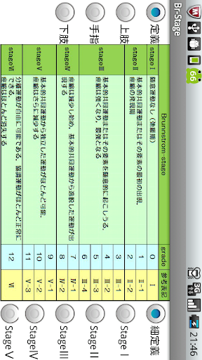 ブルンストロームステージ（片麻痺機能検査）Lite