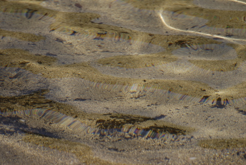 _DSC0045 copy.JPG