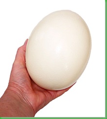 ostrich_egg_big