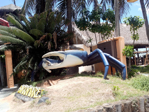 Carangueijo Gigante