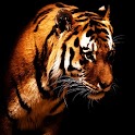 3D tiger 3 logo