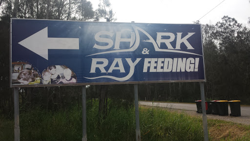 Australian Shark And Ray Centre