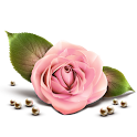 Lời Chúc 08/03 logo