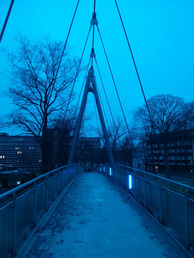 Bridge at Folkwang Museum