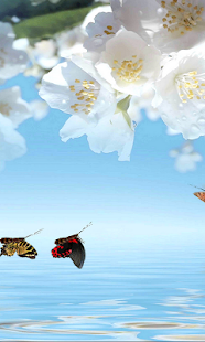 download ดอกไม้สดวอลล์เปเปอร์ Canno free