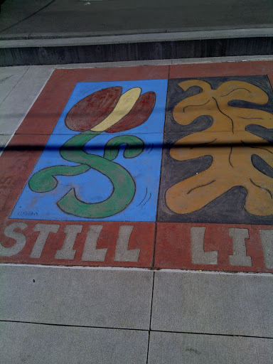 Still Life Sidewalk Art