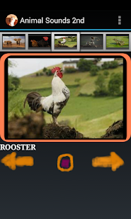 How to download Free Animal Sounds Beta 2.5 apk for bluestacks