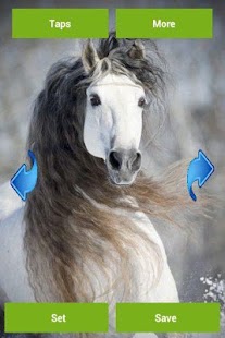 Horses Wallpapers Screenshots 3