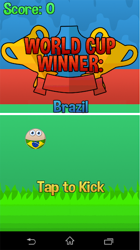 Flappy Cup Winner Brazil