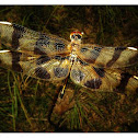 halloween pennant