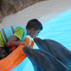 Kissing dolphins by Kirsten Gamby - Babies & Children Children Candids