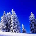 Wallpaper Winter icon