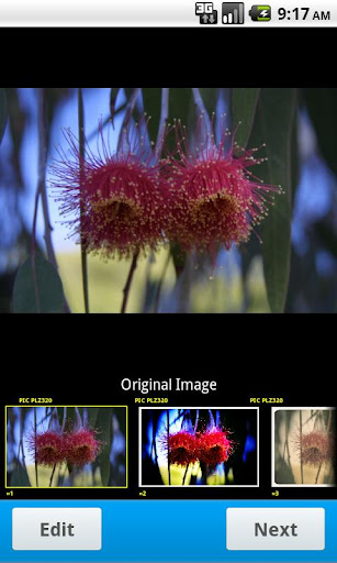 picplz v2.4.3