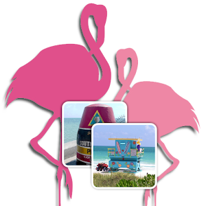 Florida Memory Game 1.04