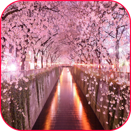 Sakura Wallpaper CherryBlossom 個人化 App LOGO-APP開箱王
