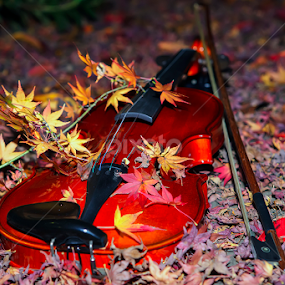 Violin by Nyoman Sundra - Artistic Objects Musical Instruments