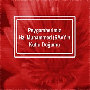 PEYGAMBERİMİZİN ÖRNEK HAYATI.apk 1.7