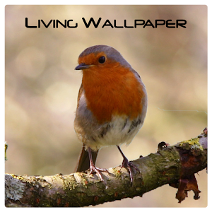 A Living Wallpaper - Robin 1.1