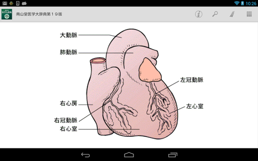 【免費書籍App】南山堂医学大辞典第19版-APP點子