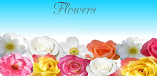 Flowers images and facts APK