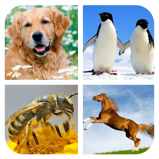 App Insights: Animal Sounds - Ringtones | Apptopia