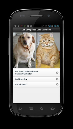 Cat Dog Food Diet Calculator