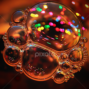 Coccinelle de Noël by Claudine Durocher - Abstract Macro