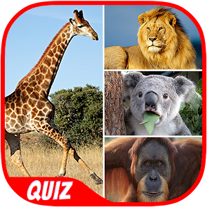 Animal Quiz for PC and MAC