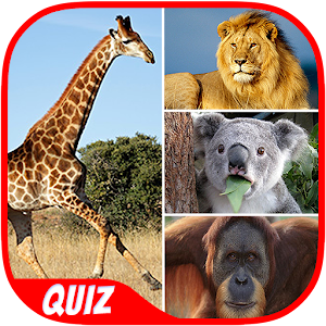 Animal Quiz Hacks and cheats