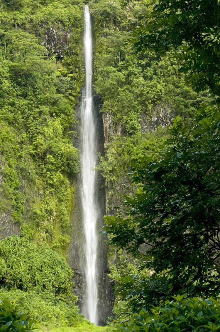 Follow the Papeno'o River all the way to the ancient abandoned Tahitian Village of Fare Hape and Lake Vaihiria.