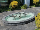 Fountain at IFSC House