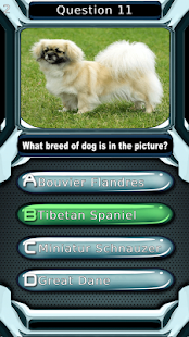 Dog Breed Animal Quiz Game Screenshots 7
