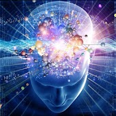 Formation du Cerveau