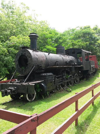 Camuy Train
