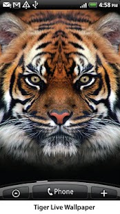 Tiger Live Wallpaper