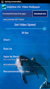 download Dolphins HD. Video Wallpaper free