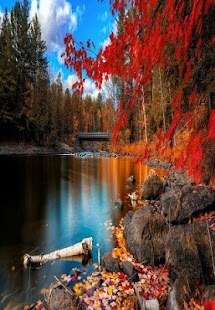 Free Download autumn wallpapers APK