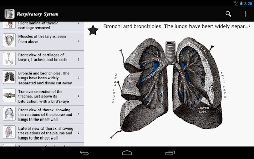 免費下載醫療APP|Gray's Anatomy 2012 Lite app開箱文|APP開箱王
