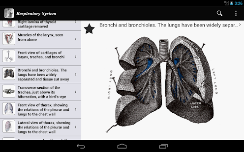 Download Gray's Anatomy 2012 Lite APK