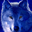 Wolf Eyes Magnetic Live Wallpa logo