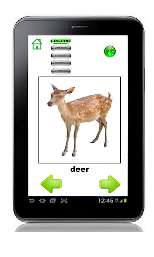 【免費教育App】First Animals (in 5 languages)-APP點子