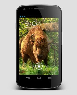 How to get Forest Animals Beaver LiveWP 2.0 unlimited apk for android