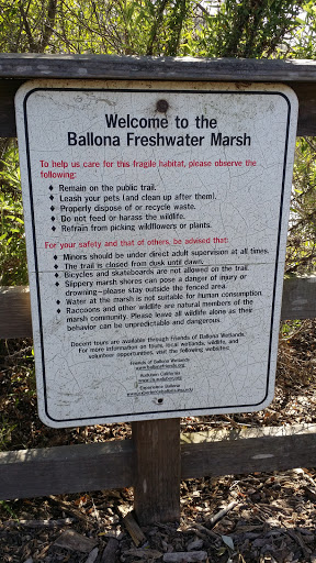 Ballona Freshwater Marsh