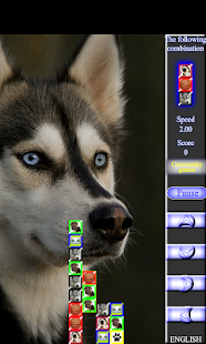 How to install Exciting Husky columns lastet apk for android