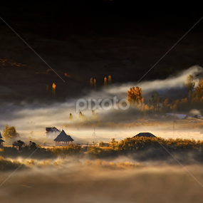 Autumn morning story by Claudiu Guraliuc - Landscapes Travel