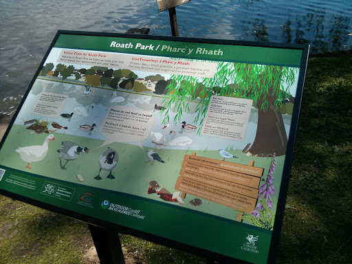 Roath Park with Ducks