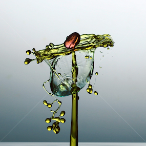 flower by Parjiyo Suwardi - Abstract Water Drops & Splashes