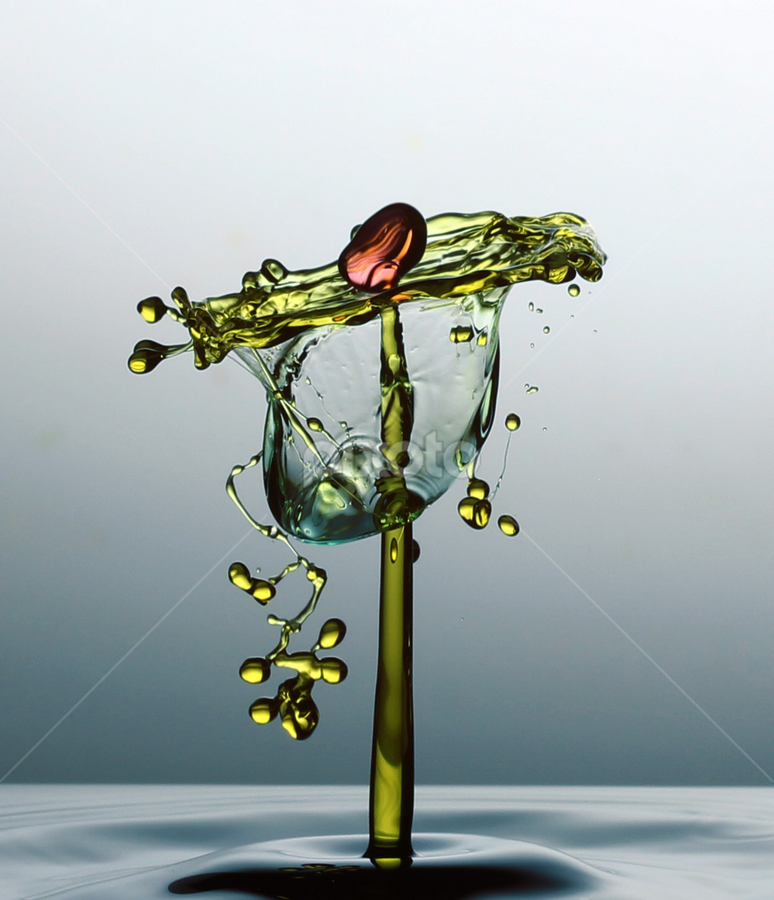 flower by Parjiyo Suwardi - Abstract Water Drops & Splashes